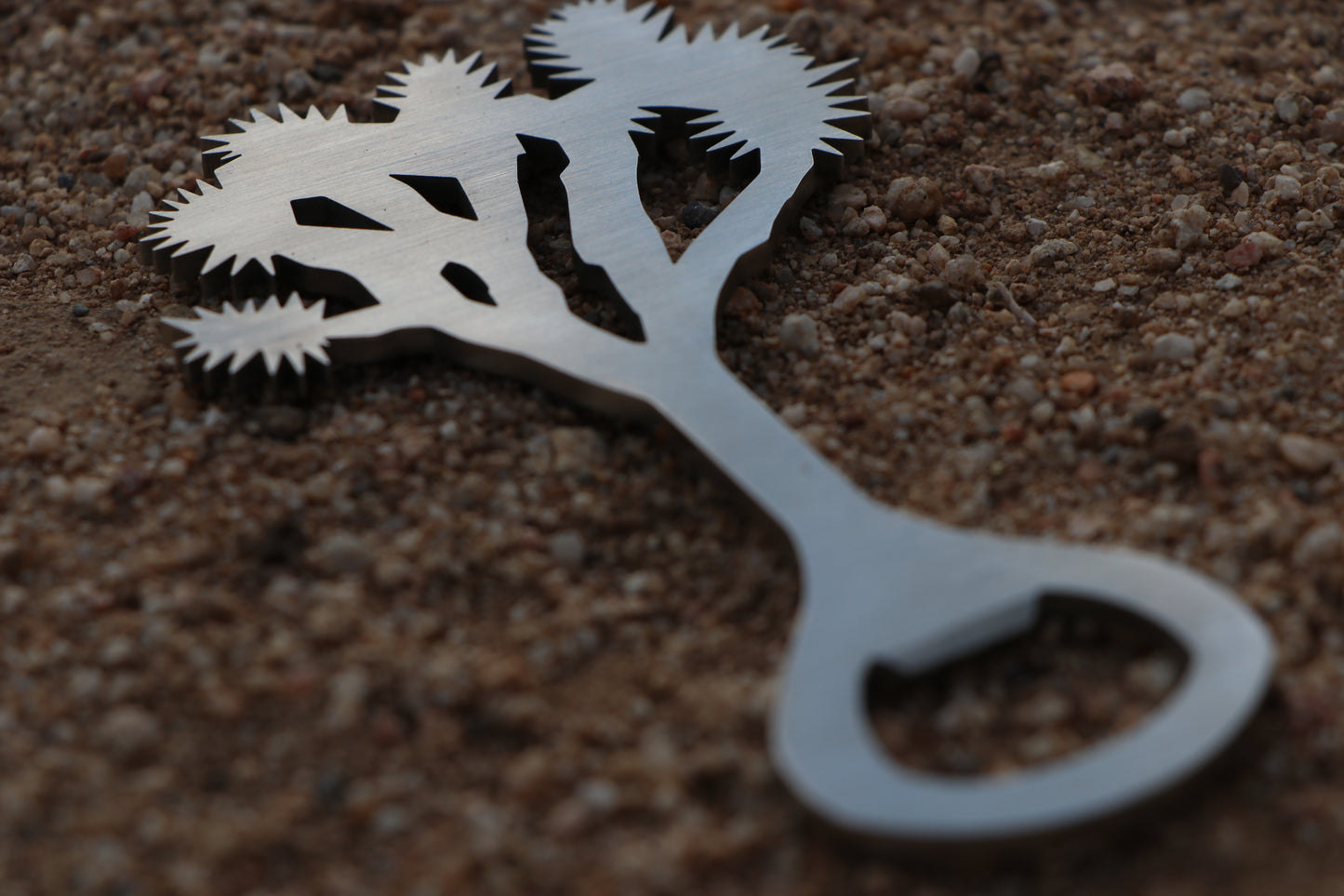 Joshua Tree Bottle Opener