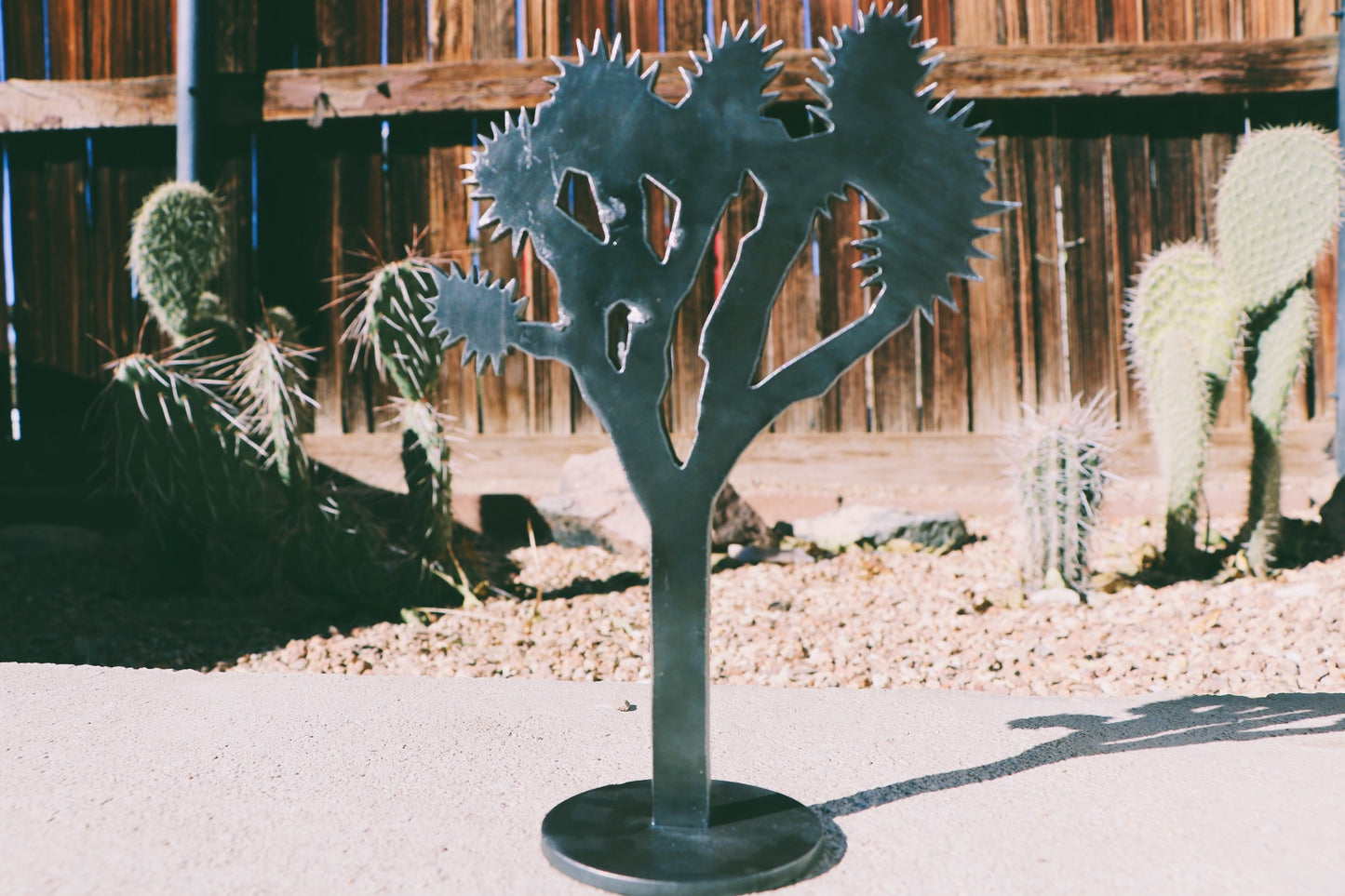 Joshua Tree Raw Metal 8"