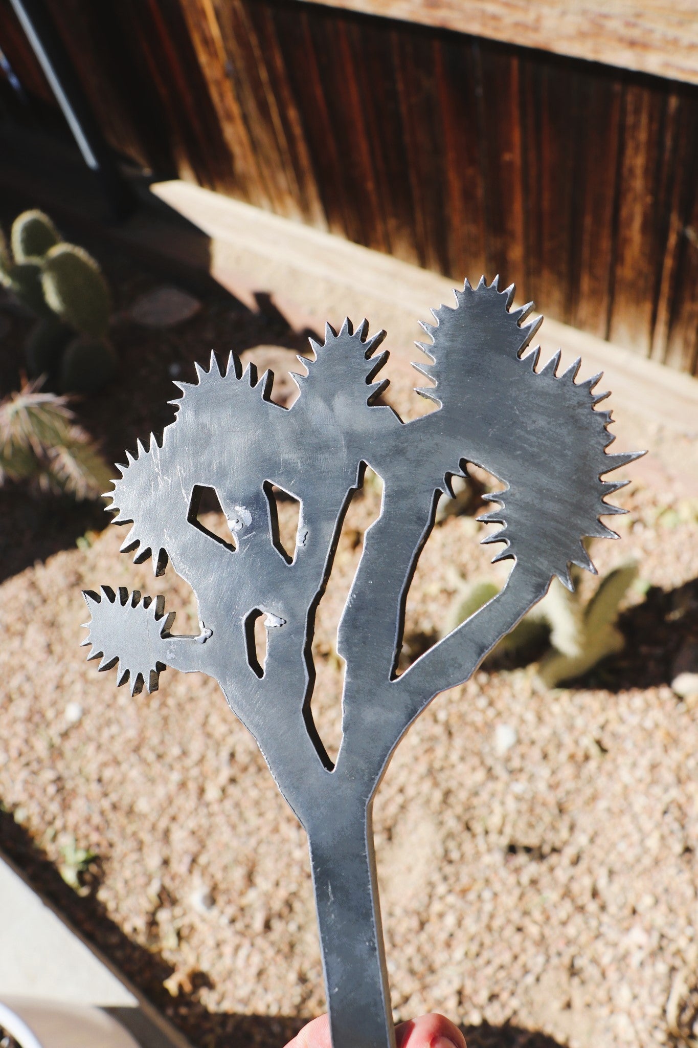 Joshua Tree Raw Metal 8"